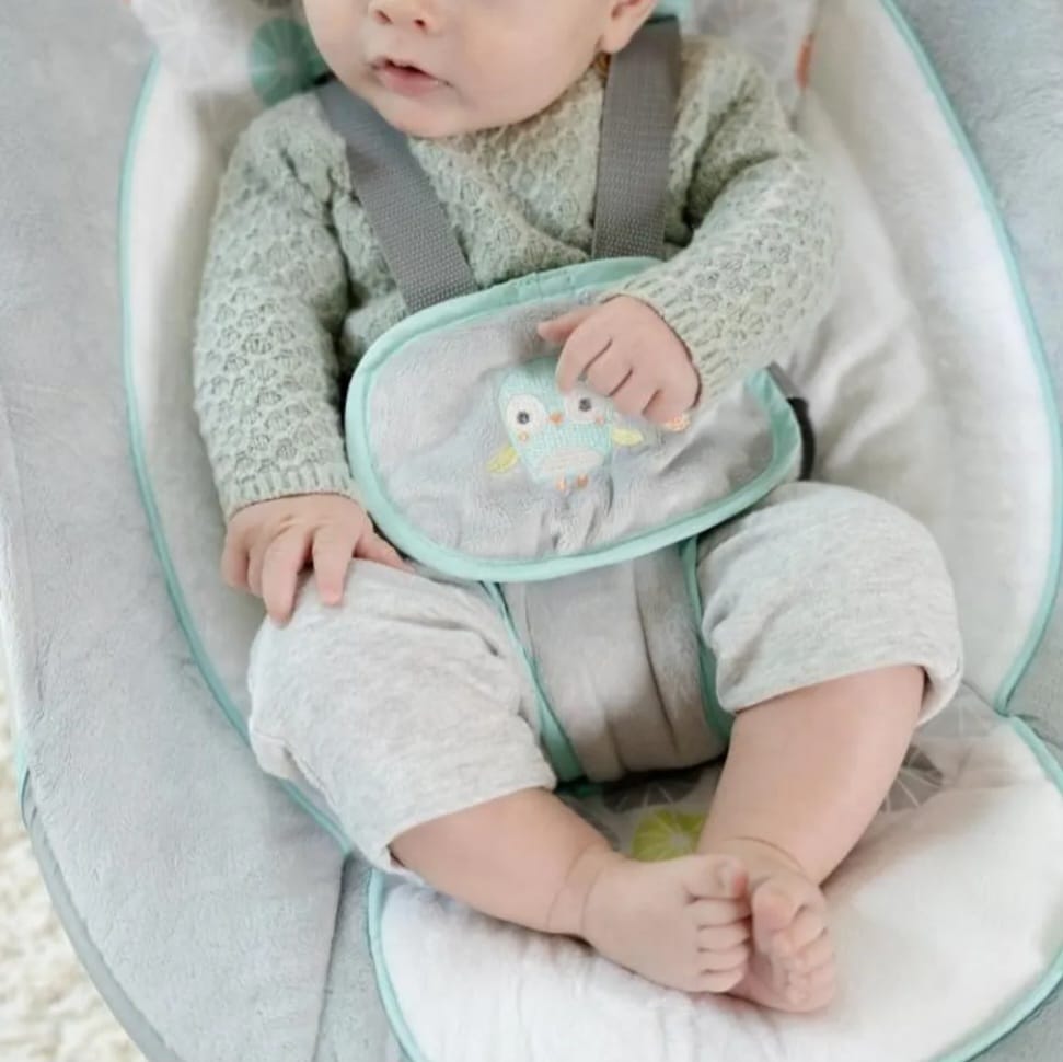 Ingenuity Swing ’n Go Portable Swing™ – Hugs & Hoots™ Babyschaukel,B-WARE