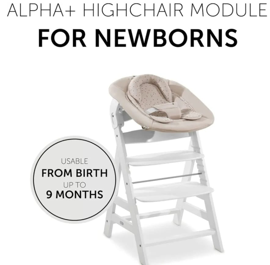 hauck Alpha Bouncer 2in1 Winnie the Pooh Beige,Wippe & Hochstuhlaufsatz, B-WARE